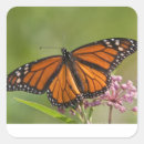 Search for habitat stickers Backyard