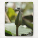 Search for damselfly mouse mats Dragonflies and damselflies