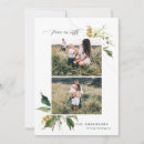 Search for peace on earth postcards Botanical