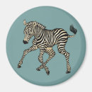 Search for zebra blue magnets Stripes