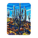 Search for saguaro magnets Tucson