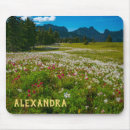 Search for lilly standard mouse mats Flowers