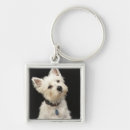 Search for collars key rings Nature