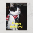 Search for calico christmas cards Pet