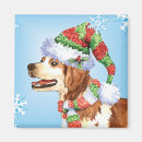 Search for brittanies magnets Brittany spaniel