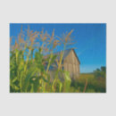 Search for barn tissue paper Rustic