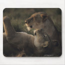 Search for nature reserve mouse mats Animals in the wild