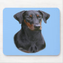 Search for doberman pinscher mouse mats Pets