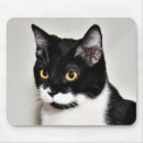 Search for tuxedo mouse mats Pet