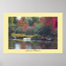 Search for scenics posters Photography