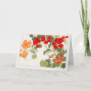 Search for nasturtium cards Floral