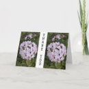 Search for shrubs cards Flowers