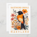Search for oriole postcards Watercolor