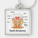 Search for dental care key rings Health