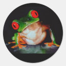 Search for rain forest stickers Frog