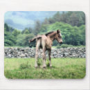 Search for paint ponies electronics Colt
