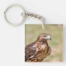 Search for tail feather key rings Nature