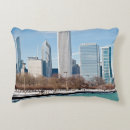 Search for frozen cushions Photography