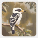 Search for kookaburras stickers Bird