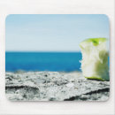 Search for core mouse mats Food