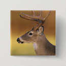 Search for tails square badges White tailed deer