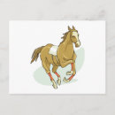 Search for horse runs postcards Thoroughbred