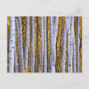 Search for intimation postcards Intimate
