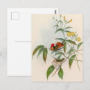 Search for mother and baby bird postcards Nature