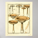 Search for fungus art Vintage