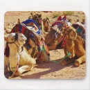 Search for camels mouse mats Jordan