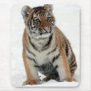 Search for tiger mouse mats Snow