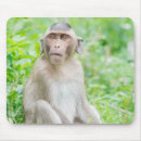 Search for cute monkey mouse mats Wild