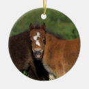 Search for miniature horse christmas tree decorations Foals
