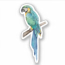 Search for macaw stickers Tropical