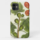 Search for herbal iphone cases Blackwell