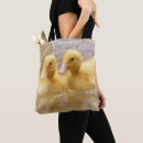 Search for ducklings bags Photography