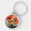 Search for purebred key rings Chihuahua