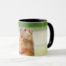 Search for woodchuck mugs Nature