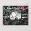Search for st patty postcards Clovers
