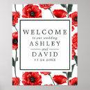 Search for poppy flower Floral