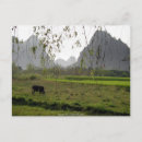 Search for grazing postcards Scenic