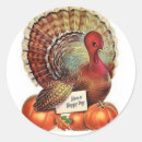 Search for cartoon turkey stickers Pumpkin