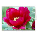 Search for pollen Peony