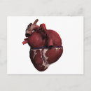 Search for three dimensional postcards Vein