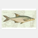 Search for sport fish stickers Fishing
