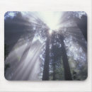 Search for jamie mouse mats Judy wild