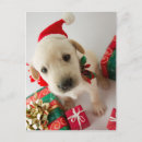 Search for labrador christmas cards Animal