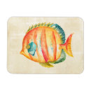 Search for aquarium magnets Fish