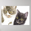 Search for torti art Watercolor