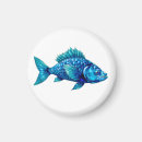 Search for fins magnets Marine